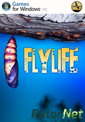 Скачать игру Flylife 2013 через торрент на rutor