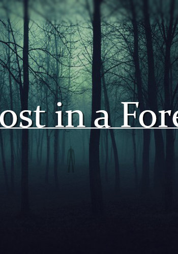 Скачать игру Lost in a Forest 2014 | PC через торрент на rutor