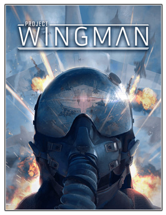 Скачать игру Project Wingman (2020) PC через торрент на rutor