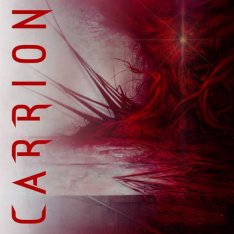 Скачать игру CARRION (2020) на MacOS через торрент на rutor